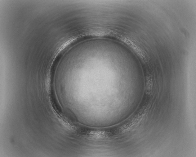 X0000116300440200911301445