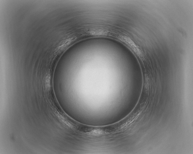 X0000116300441200911301445