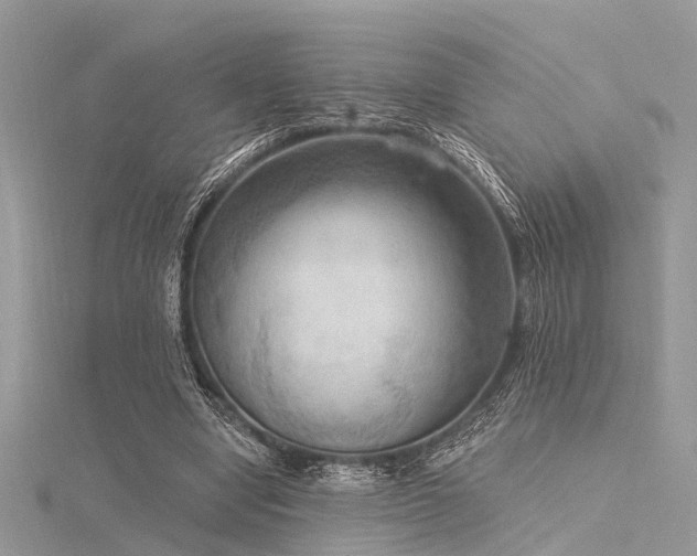 X0000116300442200911301445