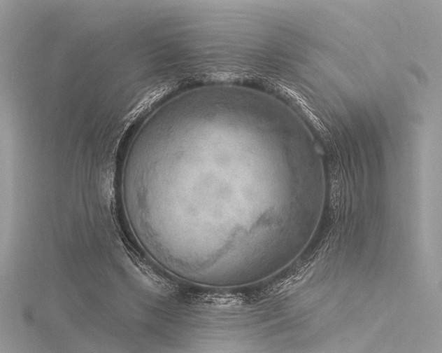 X0000116300443200911301445