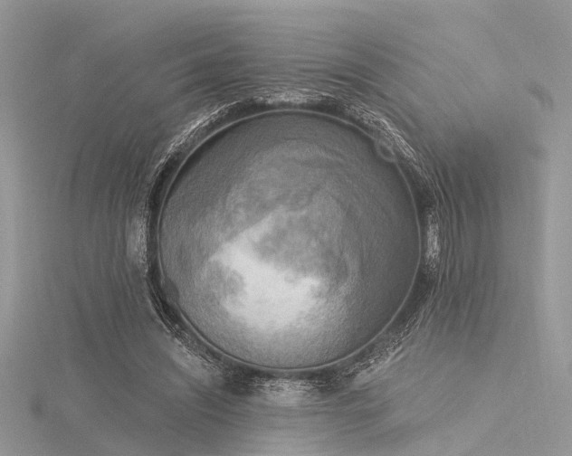 X0000116300444200911301445