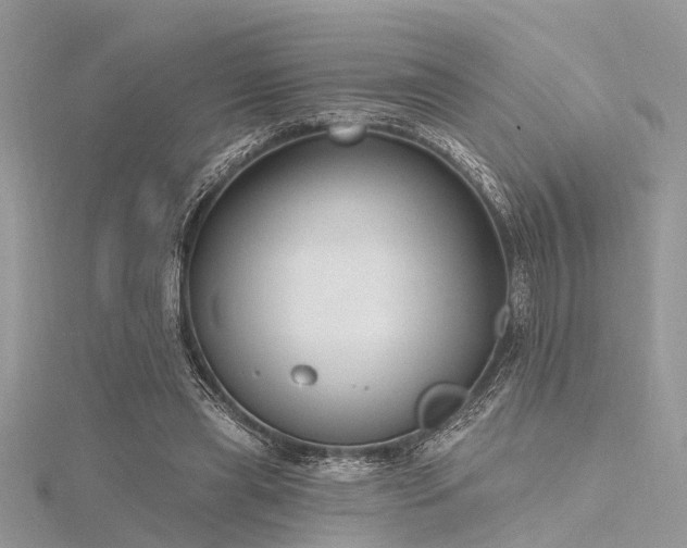 X0000116300445200911301445