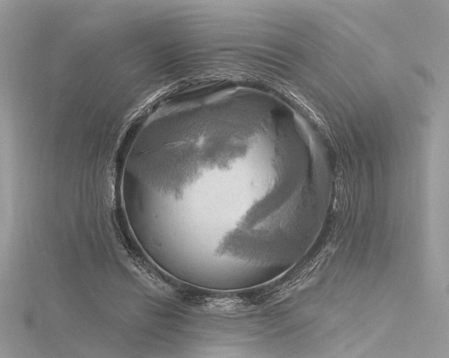 X0000116300446200911301445