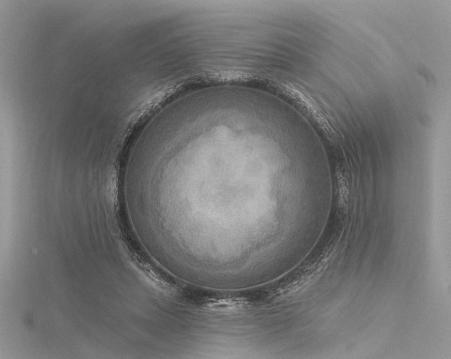 X0000116300447200911301445