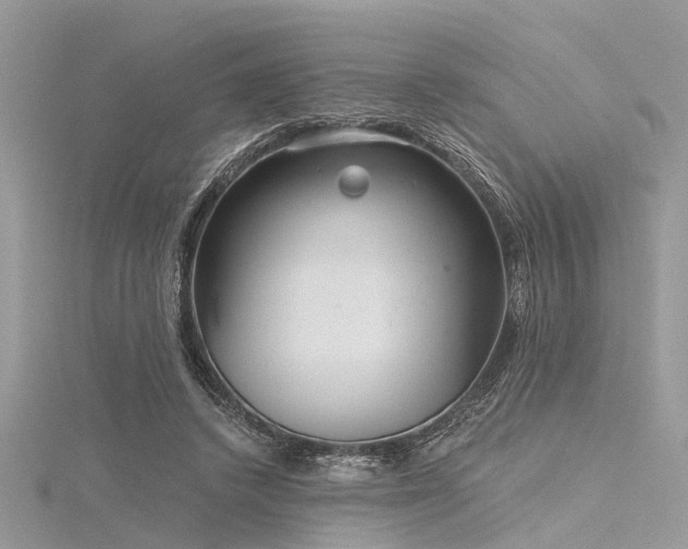 X0000116300448200911301445