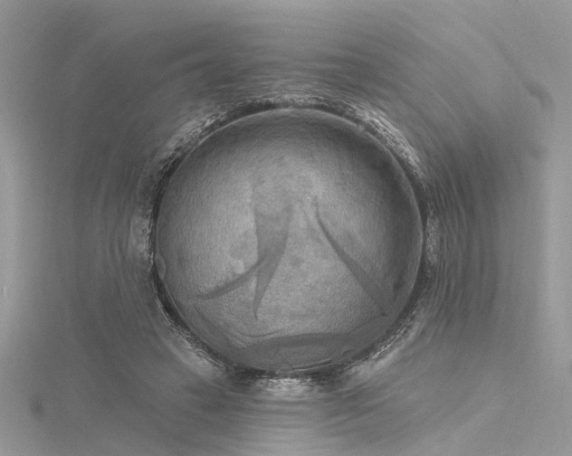 X0000116300449200911301445