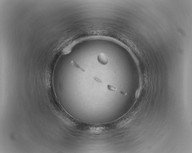 X0000116300450200911301445