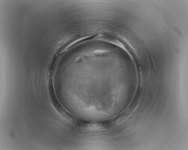 X0000116300451200911301445