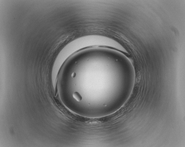 X0000116300452200911301445