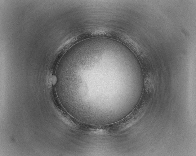 X0000116300454200911301445