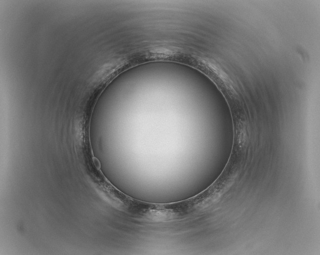 X0000116300455200911301445