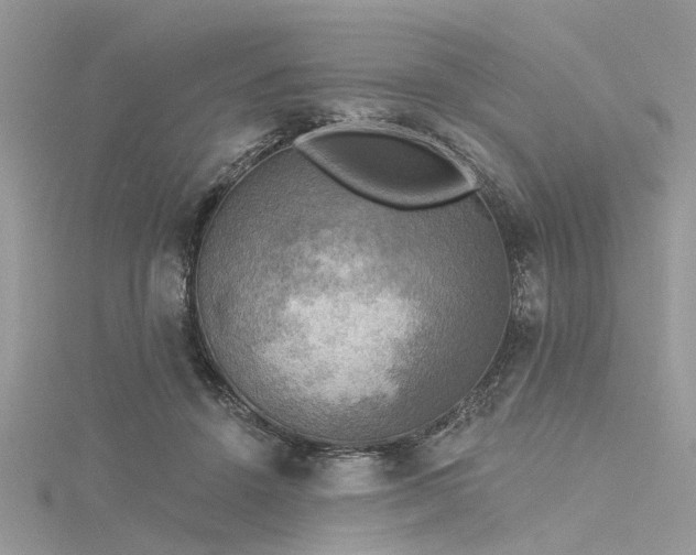 X0000116300456200911301445