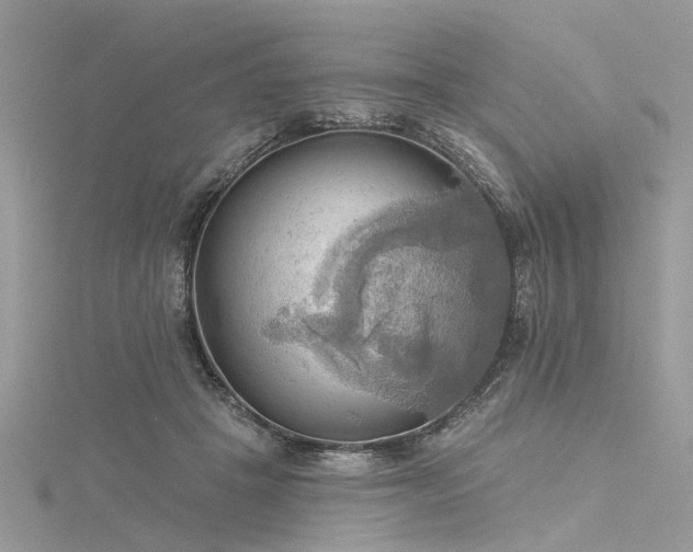 X0000116300457200911301445