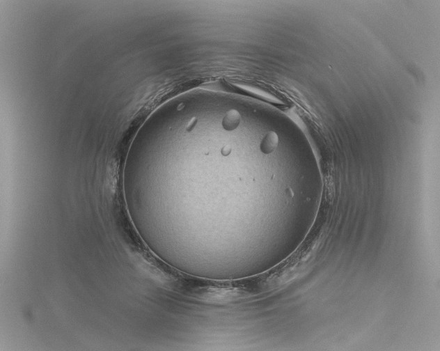 X0000116300458200911301445