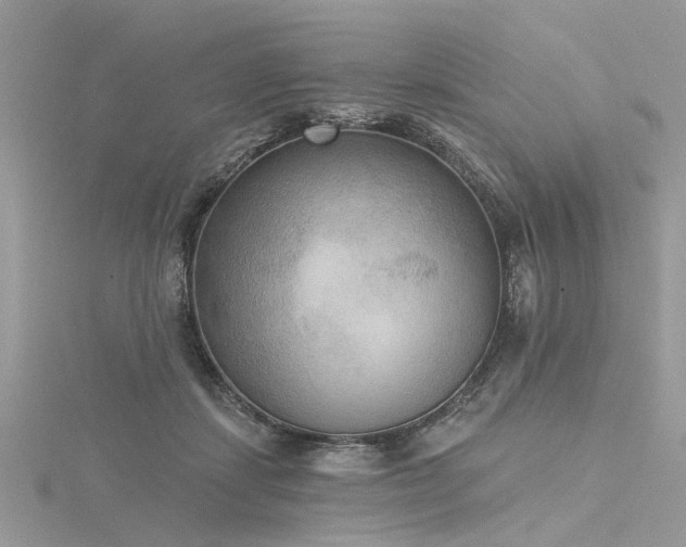 X0000116300459200911301445