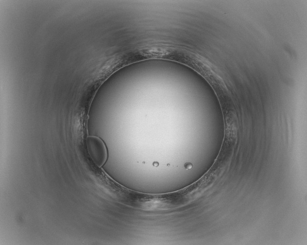 X0000116300460200911301445