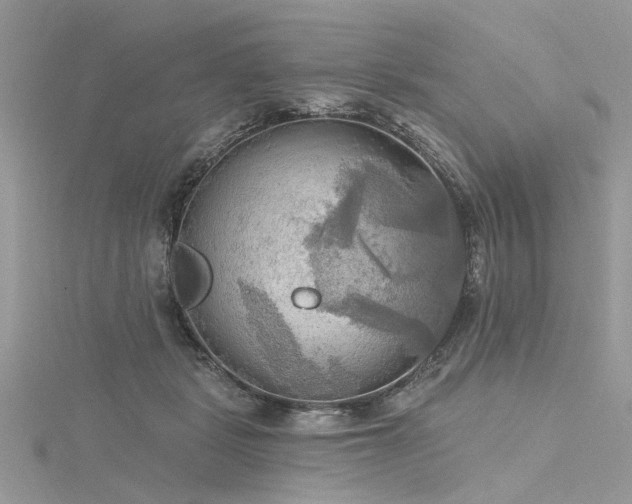 X0000116300461200911301445