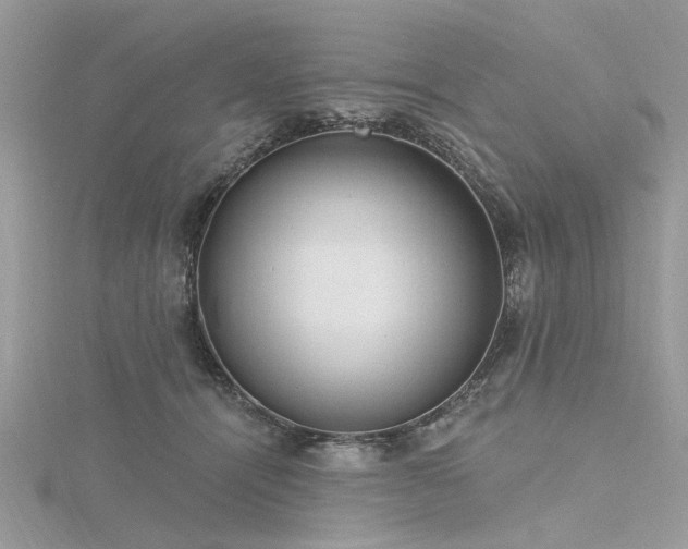 X0000116300464200911301445