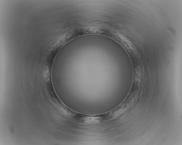 X0000116300465200911301445