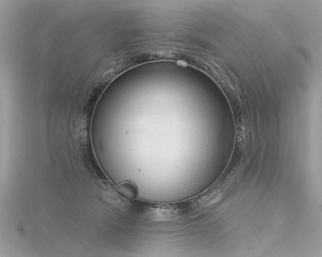 X0000116300466200911301445