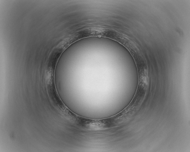 X0000116300468200911301445