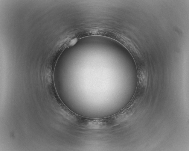 X0000116300470200911301445