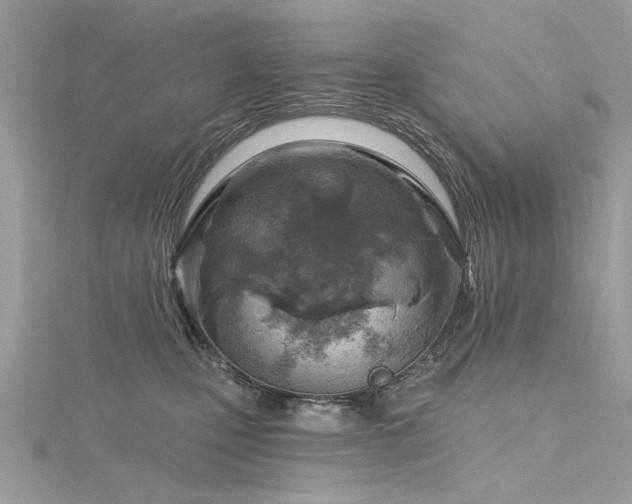 X0000116300471200911301445