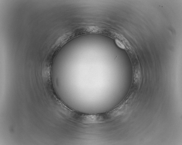 X0000116300473200911301445