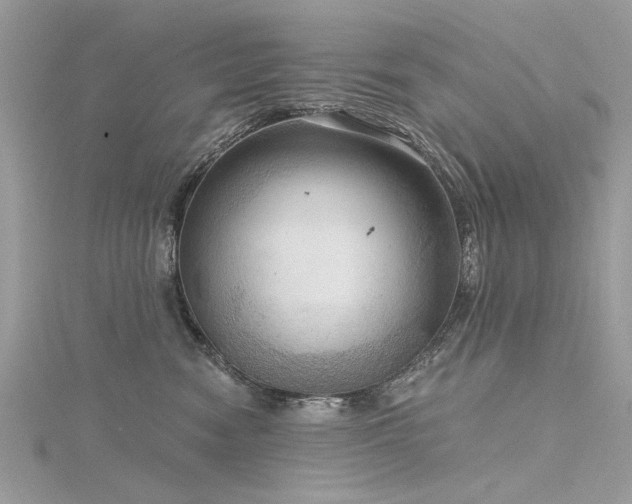 X0000116300474200911301445