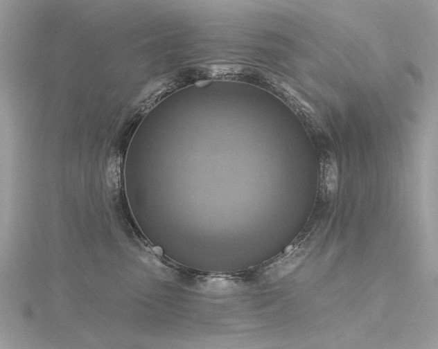 X0000116300475200911301445