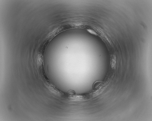 X0000116300476200911301445