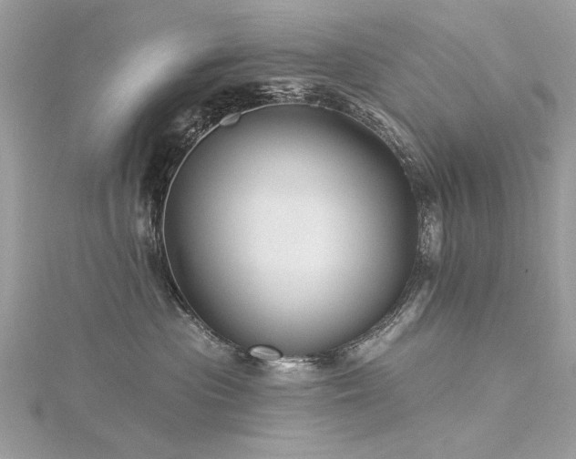 X0000116300477200911301445