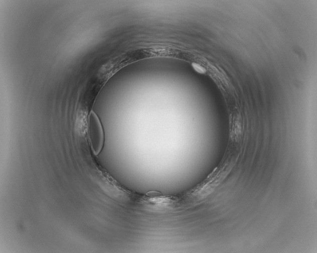 X0000116300478200911301445