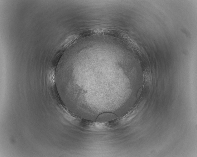 X0000116300479200911301445