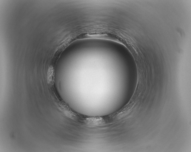 X0000116300480200911301445