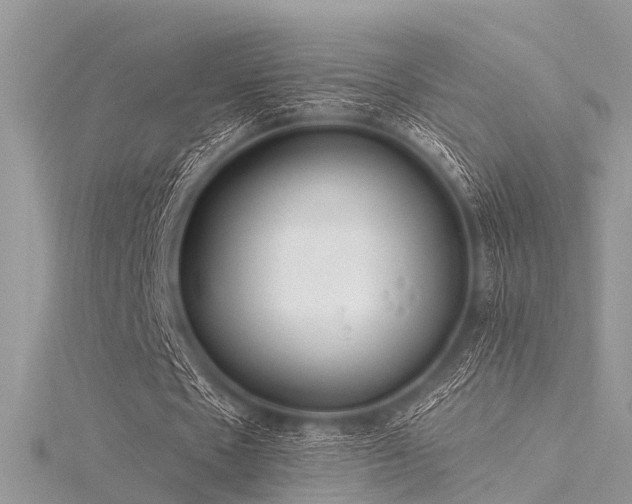 X0000116300481200911301445