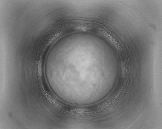 X0000116300482200911301445