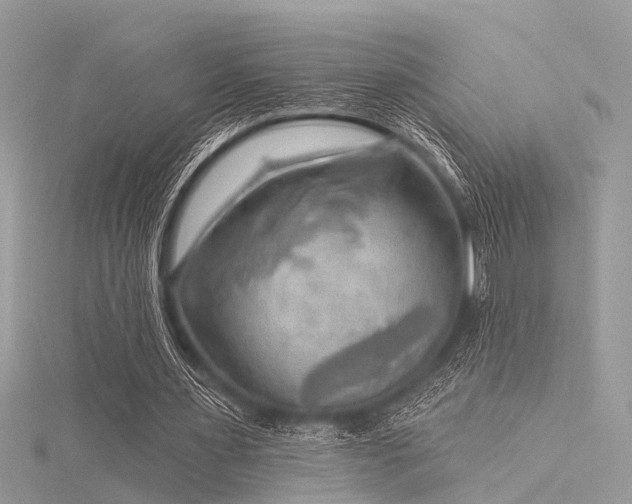 X0000116300483200911301445