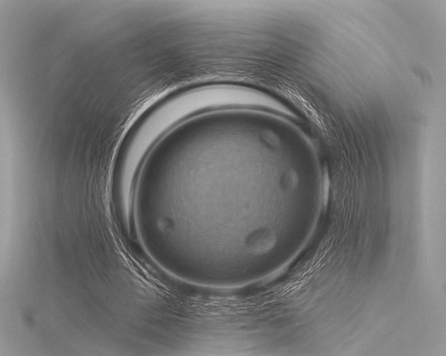 X0000116300484200911301445