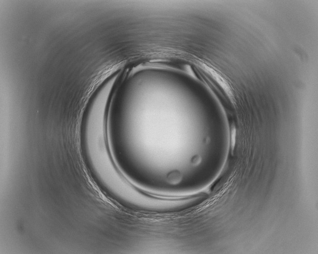 X0000116300485200911301445