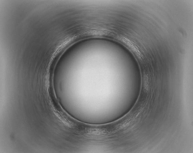 X0000116300486200911301445