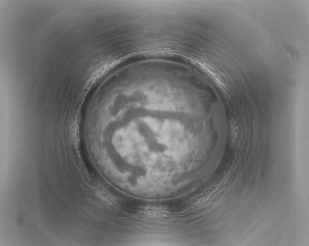 X0000116300487200911301445