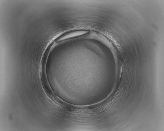 X0000116300488200911301445