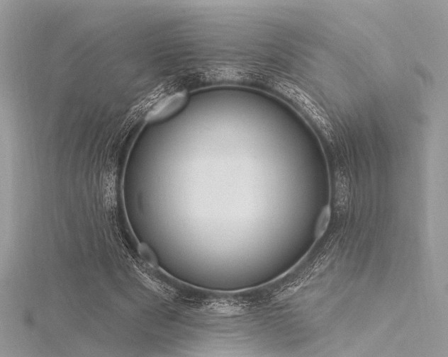 X0000116300489200911301445