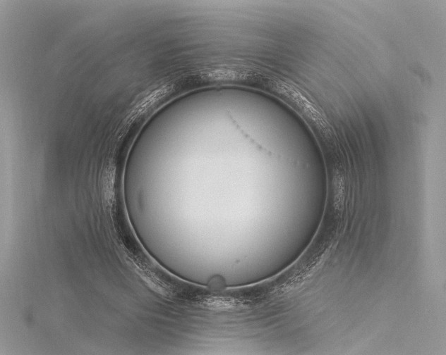 X0000116300490200911301445