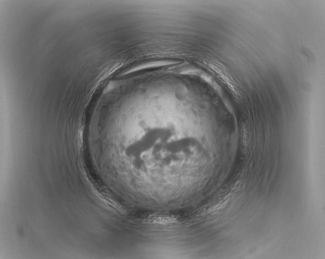 X0000116300491200911301444