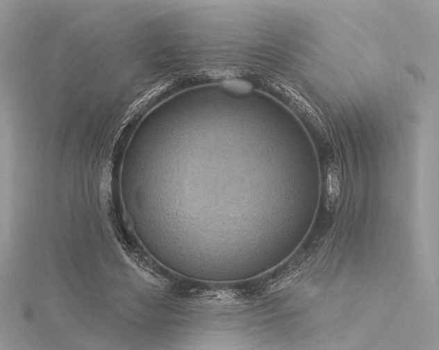 X0000116300492200911301444