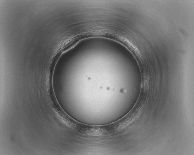 X0000116300493200911301444