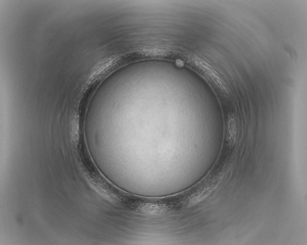 X0000116300494200911301444