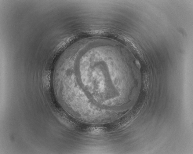 X0000116300495200911301444